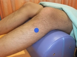 �߼塦�ò�����